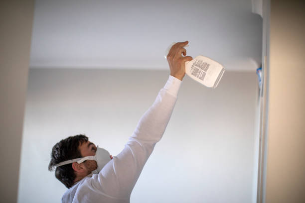 Best Mold Removal Specialists  in Coats Bend, AL